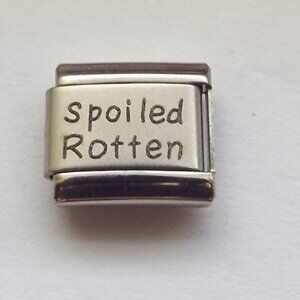 Spoiled Rotten laser 9mm stainless steel Italian charm bracelet link new